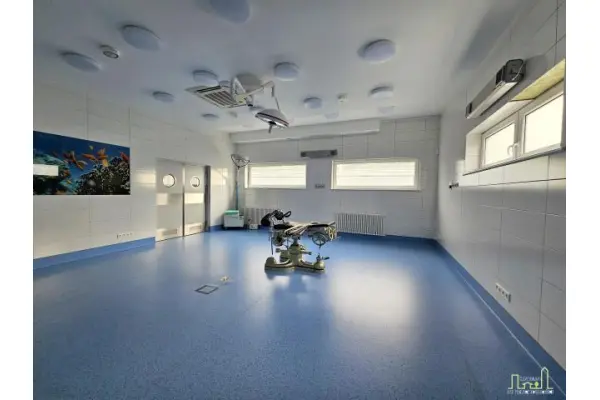 wolsztyński, Wolsztyn, Poniatowskiego, OBIEKT KOMERCYJNY 880 m2 WINDĄ DO WYNAJECIA