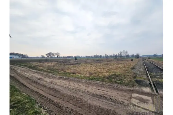 wolsztyński, Wolsztyn, Kębłowo, DZIAŁKA POD AKTYWIZACJĘ GOSPODARCZĄ!