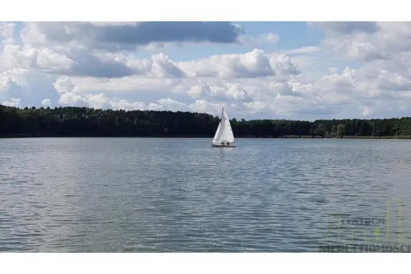 wolsztyński, Wolsztyn, Wilcze, DZIAŁKA W POBLIŻU LINII BRZEGOWEJ JEZIORA!