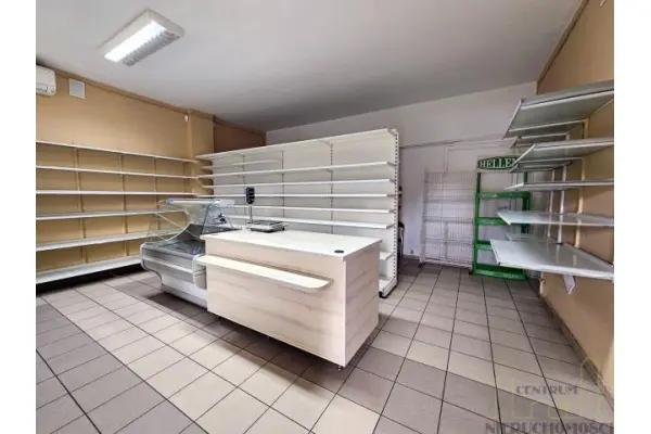 grodziski, Rakoniewice, Głodno, LOKAL W CENTRUM MIEJSCOWOŚC!