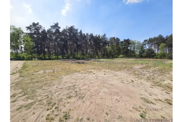 wolsztyński, Wolsztyn, Kębłowo, Kolonia, UROKLIWA DZIAŁKA POD LASEM!