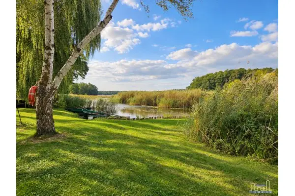 wolsztyński, Siedlec, Wąchabno, Z LINIĄ BRZEGOWĄ/DUŻA DZIAŁKA 3200 m2