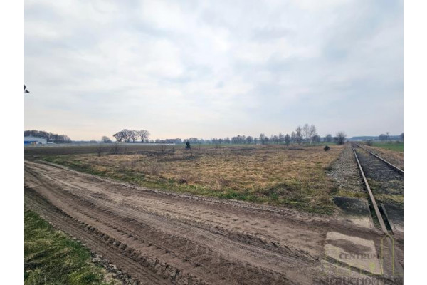 wolsztyński, Wolsztyn, Kębłowo, DZIAŁKA POD AKTYWIZACJĘ GOSPODARCZĄ!