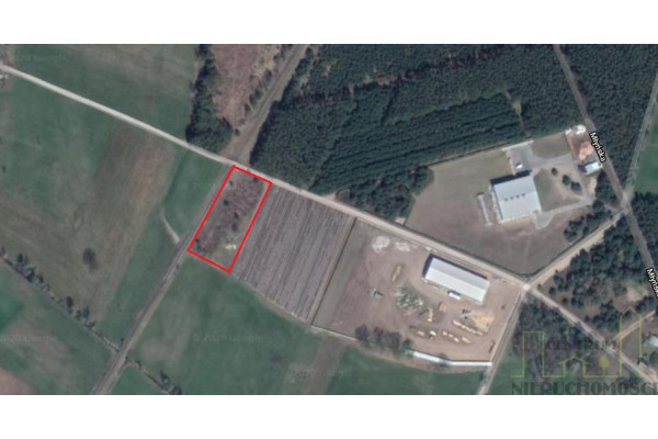 wolsztyński, Wolsztyn, Kębłowo, DZIAŁKA POD AKTYWIZACJĘ GOSPODARCZĄ!