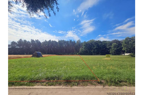 wielkopolskie, wolsztyński, Wolsztyn, Wola Dąbrowiecka, DZIAŁKA Z DECYZJĄ O WARUNKACH ZABUDOWY!