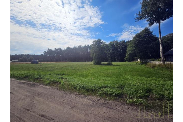 wolsztyński, Wolsztyn, Wola Dąbrowiecka, DZIAŁKA Z DECYZJĄ O WARUNKACH ZABUDOWY!