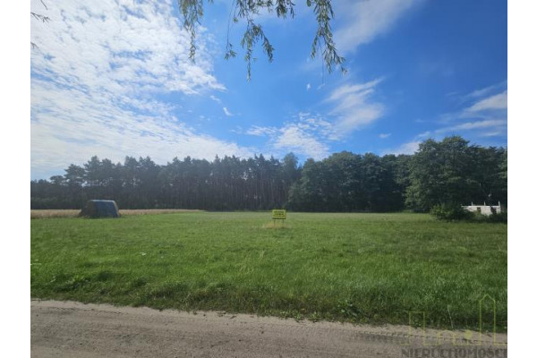 wolsztyński, Wolsztyn, Wola Dąbrowiecka, DZIAŁKA Z DECYZJĄ O WARUNKACH ZABUDOWY!