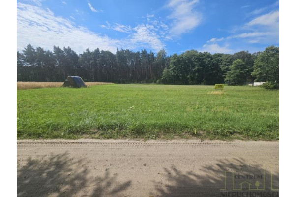 wolsztyński, Wolsztyn, Wola Dąbrowiecka, DZIAŁKA Z DECYZJĄ O WARUNKACH ZABUDOWY!