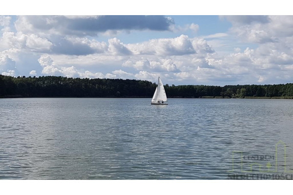 wolsztyński, Wolsztyn, Wilcze, DZIAŁKA W POBLIŻU LINII BRZEGOWEJ JEZIORA!