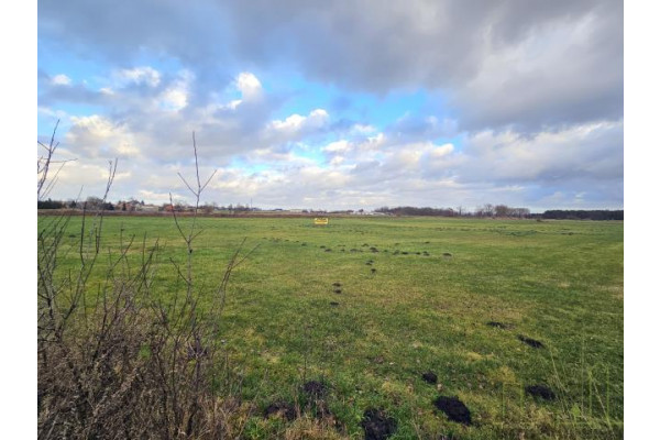 wolsztyński, Wolsztyn, Obra, ATRAKCYJNE DZIAŁKI PRZY LESIE!