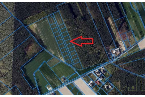 wolsztyński, Wolsztyn, Nowe Tłoki, NOWE OSIEDLE PRZY LESIE!