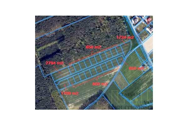 wolsztyński, Wolsztyn, Nowe Tłoki, NOWE OSIEDLE PRZY LESIE!