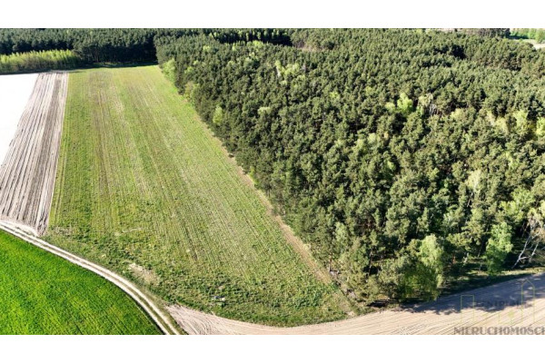 wielkopolskie, wolsztyński, Wolsztyn, Nowe Tłoki, NOWE OSIEDLE PRZY LESIE!