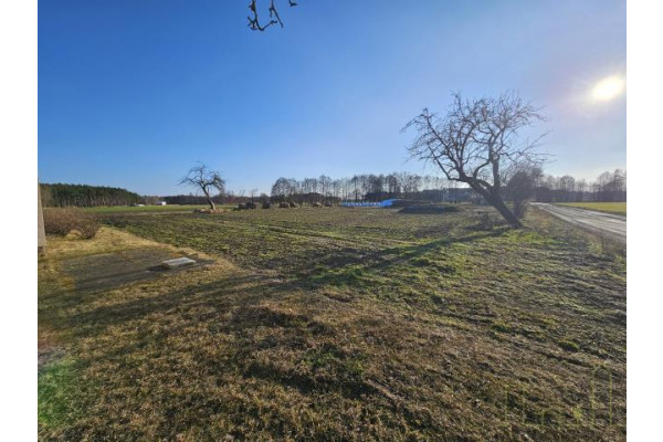 wolsztyński, Siedlec, Kiełkowo, Przytulny dom na skraju wsi