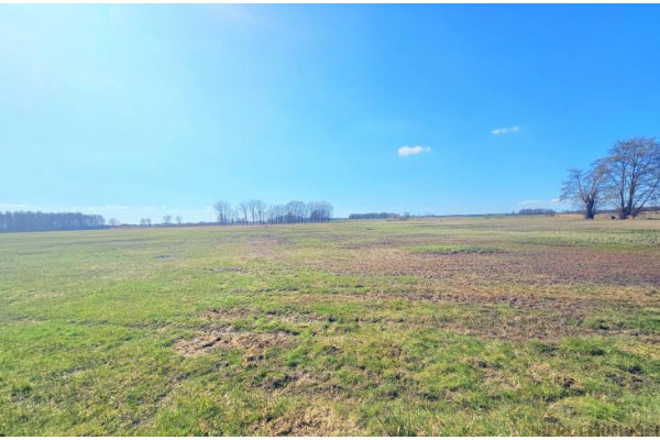 wolsztyński, Wolsztyn, Niałek Wielki, Grunt rolny stanowiący łąkę