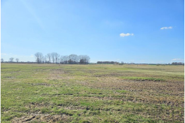 wolsztyński, Wolsztyn, Niałek Wielki, Grunt rolny stanowiący łąkę