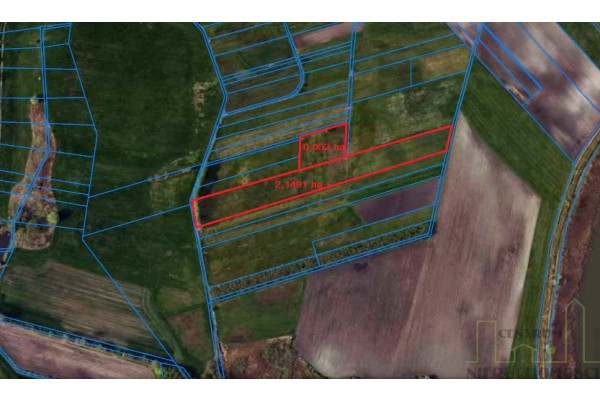 wolsztyński, Wolsztyn, Niałek Wielki, Grunt rolny stanowiący łąkę