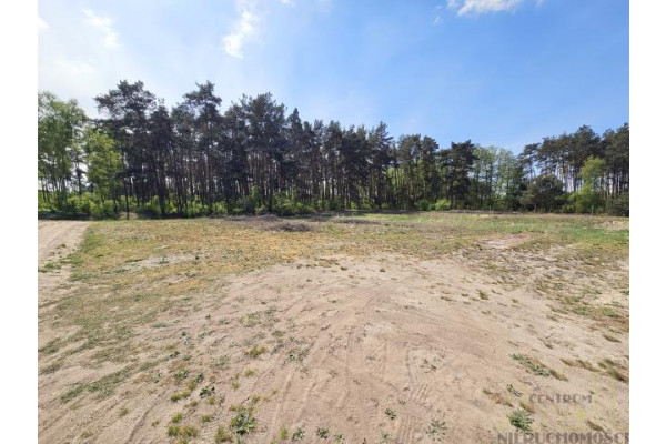 wolsztyński, Wolsztyn, Kębłowo, Kolonia, UROKLIWA DZIAŁKA POD LASEM!