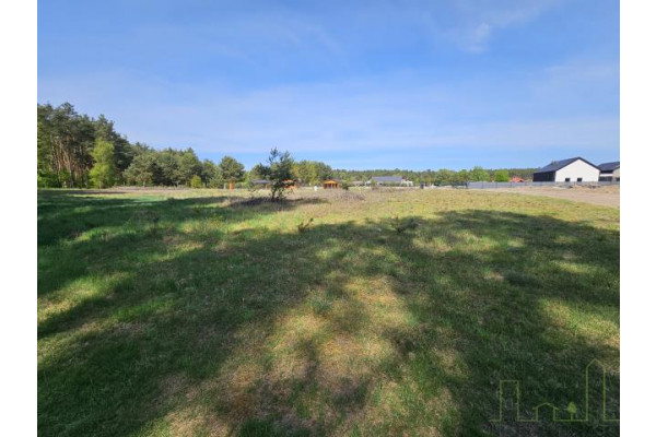 wolsztyński, Wolsztyn, Kębłowo, Kolonia, UROKLIWA DZIAŁKA POD LASEM!