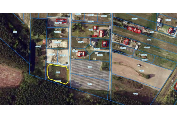 wolsztyński, Wolsztyn, Kębłowo, Kolonia, UROKLIWA DZIAŁKA POD LASEM!