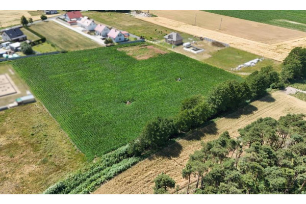 wolsztyński, Siedlec, Różana, Siedlec – Atrakcyjne działki na nowym osiedlu.