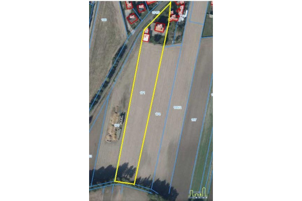 wolsztyński, Siedlec, Wojciechowo, Dom z dużą działką tylko 11 km od Wolsztyna!