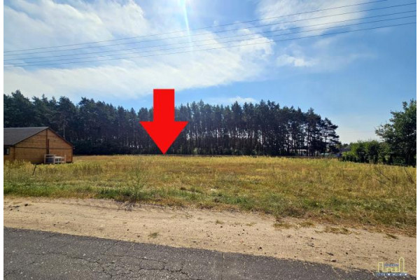 wielkopolskie, wolsztyński, Siedlec, Mariankowo, ZAMIESZKAJ W SIELSKIM MARIANKOWIE!