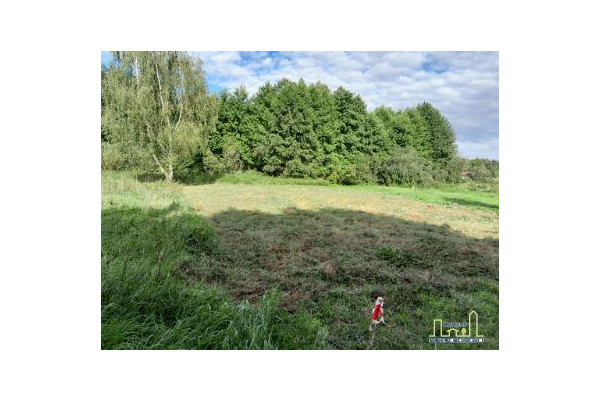 nowosolski, Kolsko, Uście, Działka dla miłośników wody, lasu i wędkowania